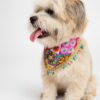boho bandana