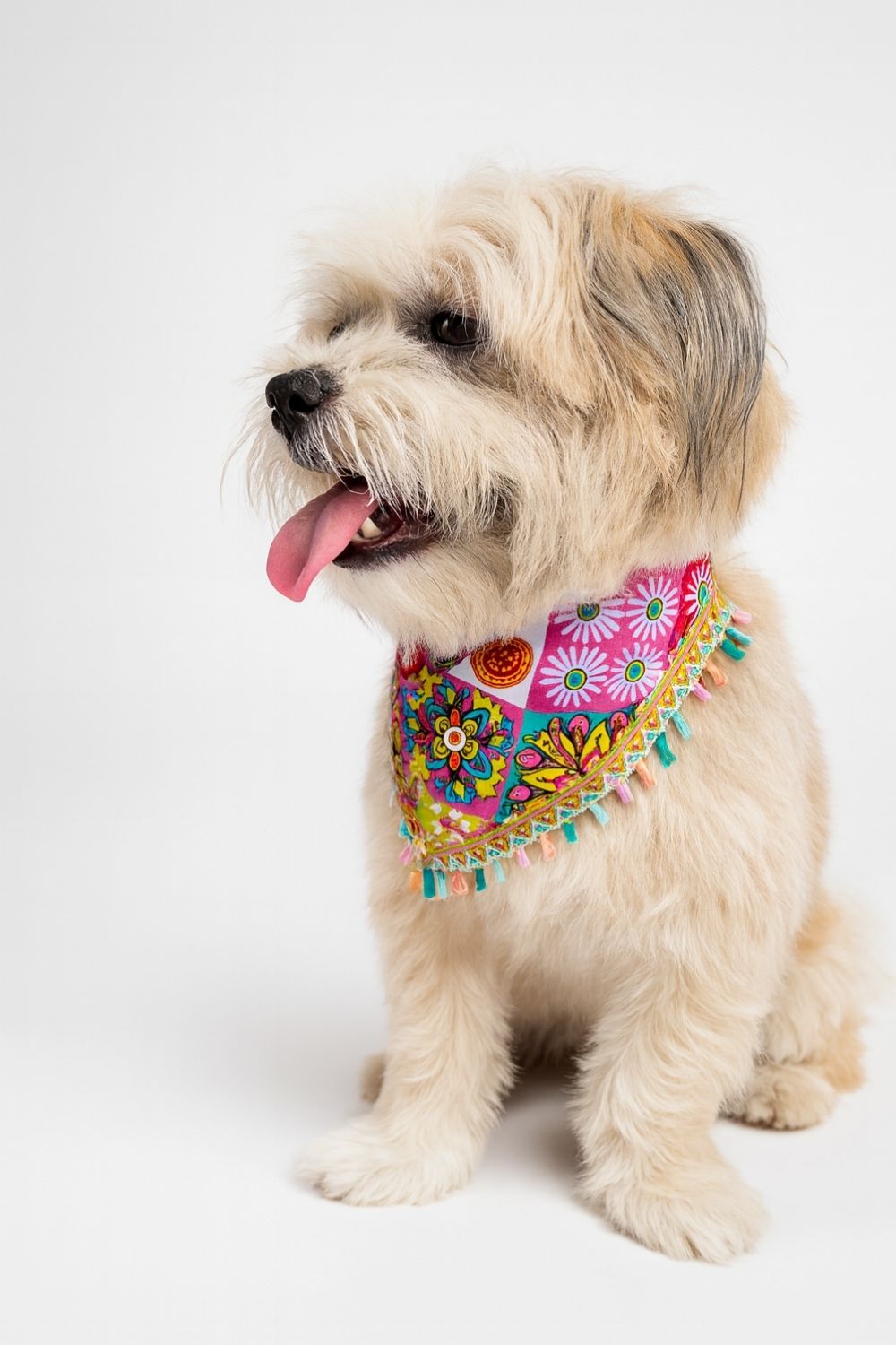 boho bandana boho bandana