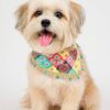 boho bandana