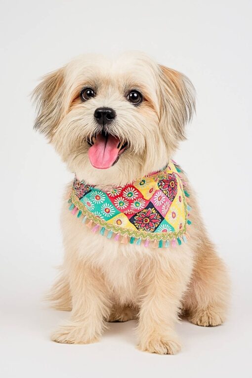 boho bandana
