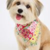 boho bandana