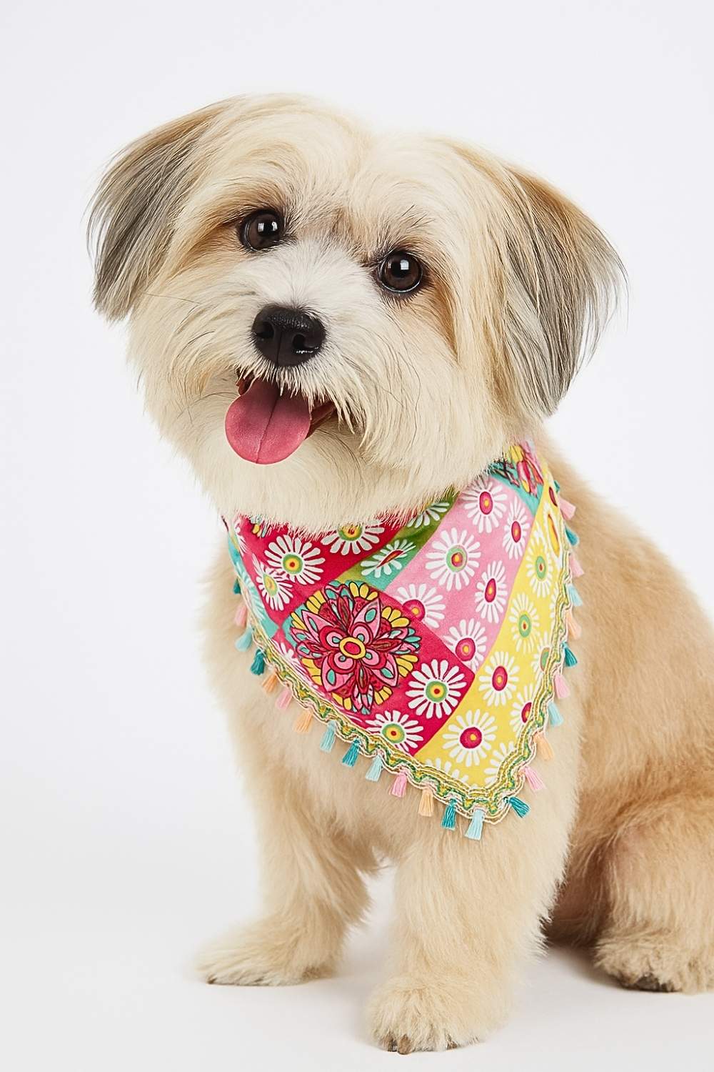 boho bandana boho bandana
