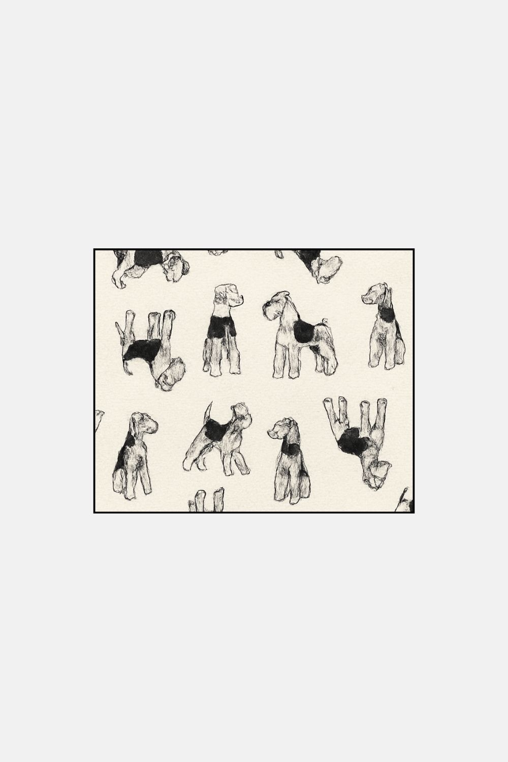 doodle poodle doodle poodle