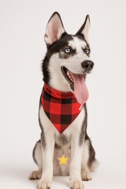 red pawfallo checks