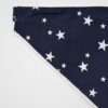 sky full of stars