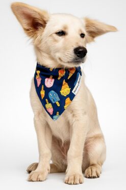 pupsicles
