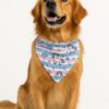 unipaw bandana