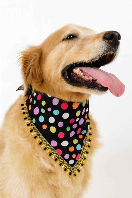 polka dot