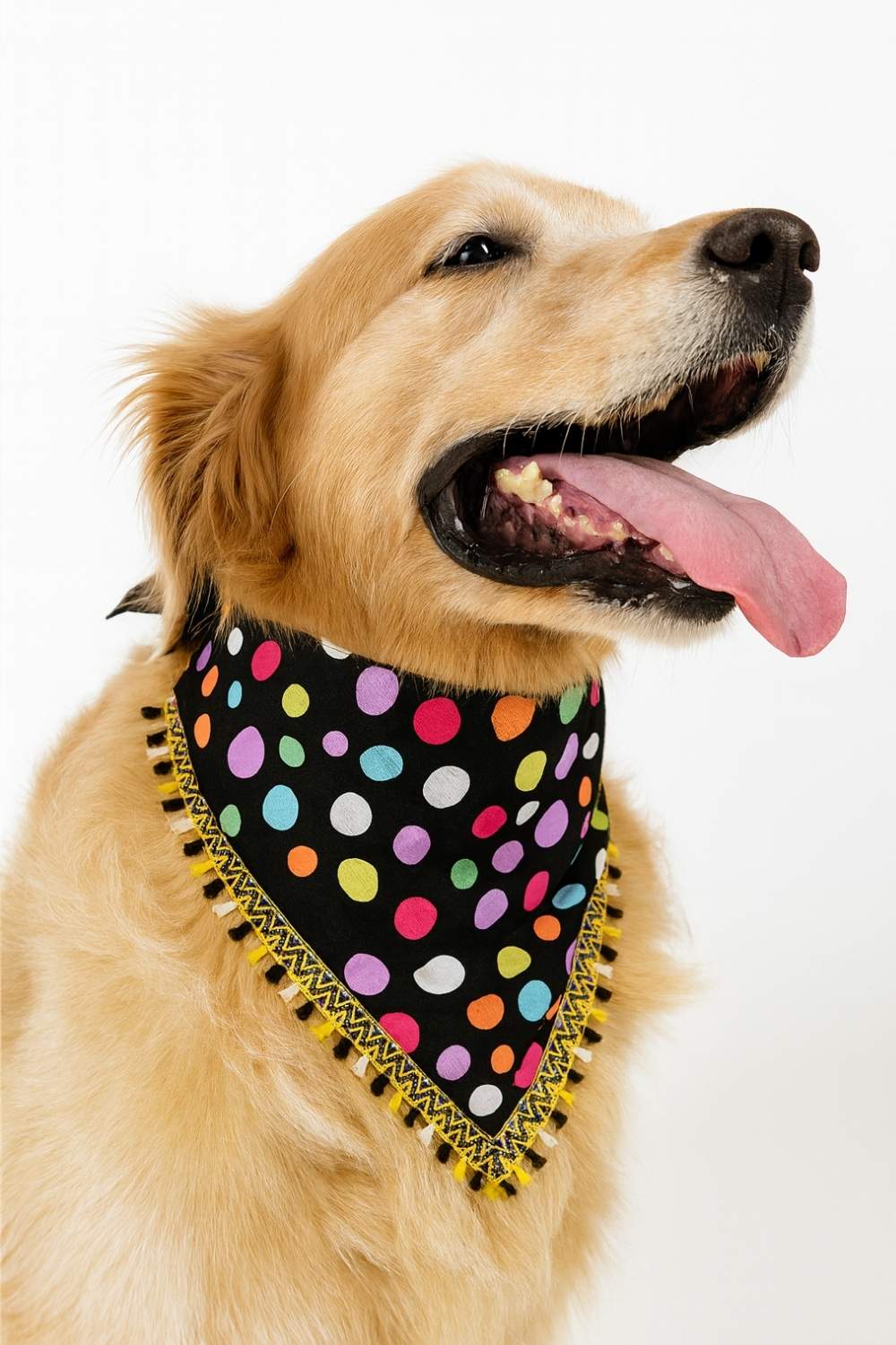 polka dot polka dot