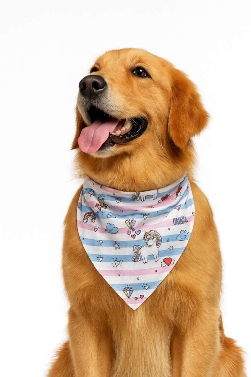 unipaw bandana