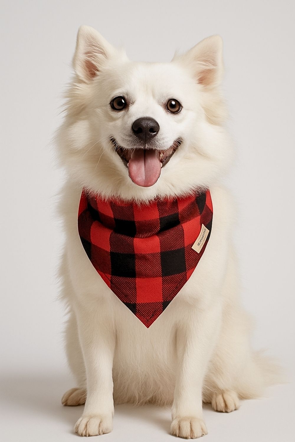 red pawfallo checks red pawfallo checks