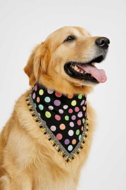 polka dot