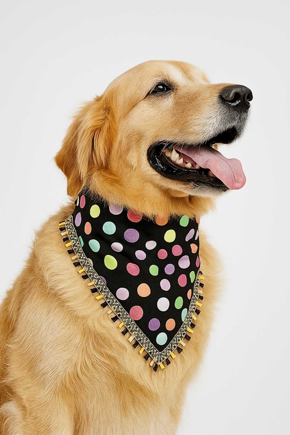 polka dot polka dot