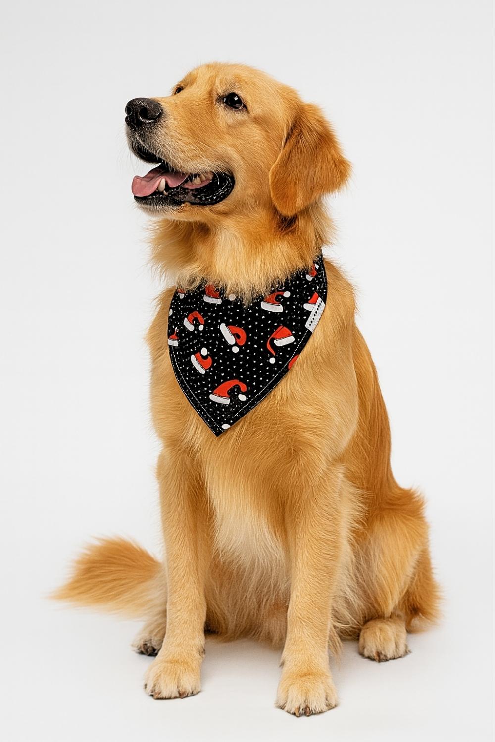 santa paws santa paws