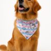 unipaw bandana