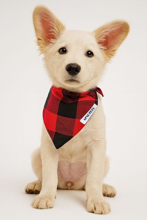 red pawfallo checks