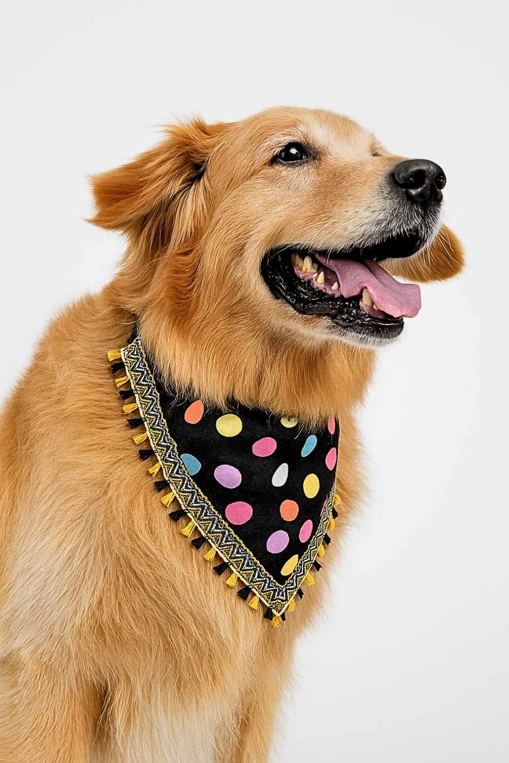 polka dot polka dot