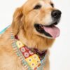boho bandana
