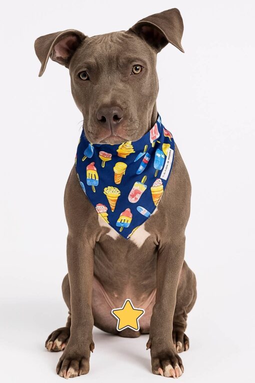pupsicles