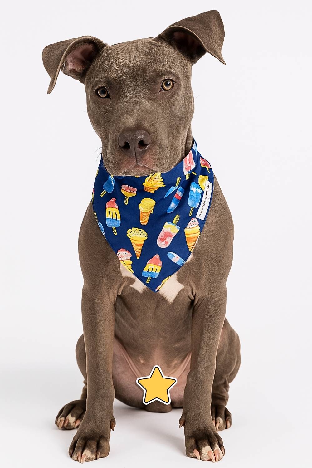 pupsicles pupsicles