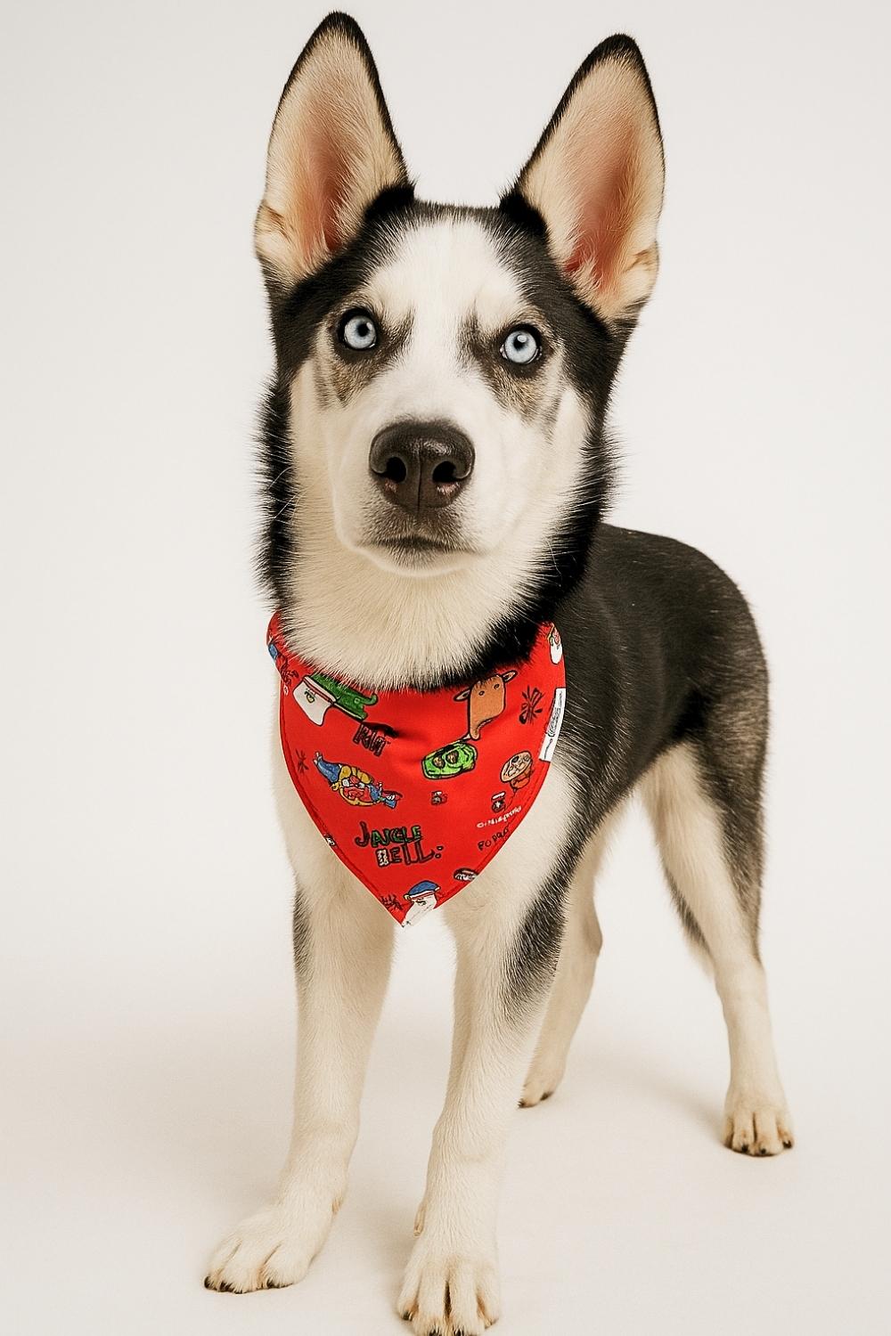 merry woofmas merry woofmas