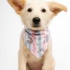 unipaw bandana