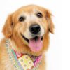boho bandana