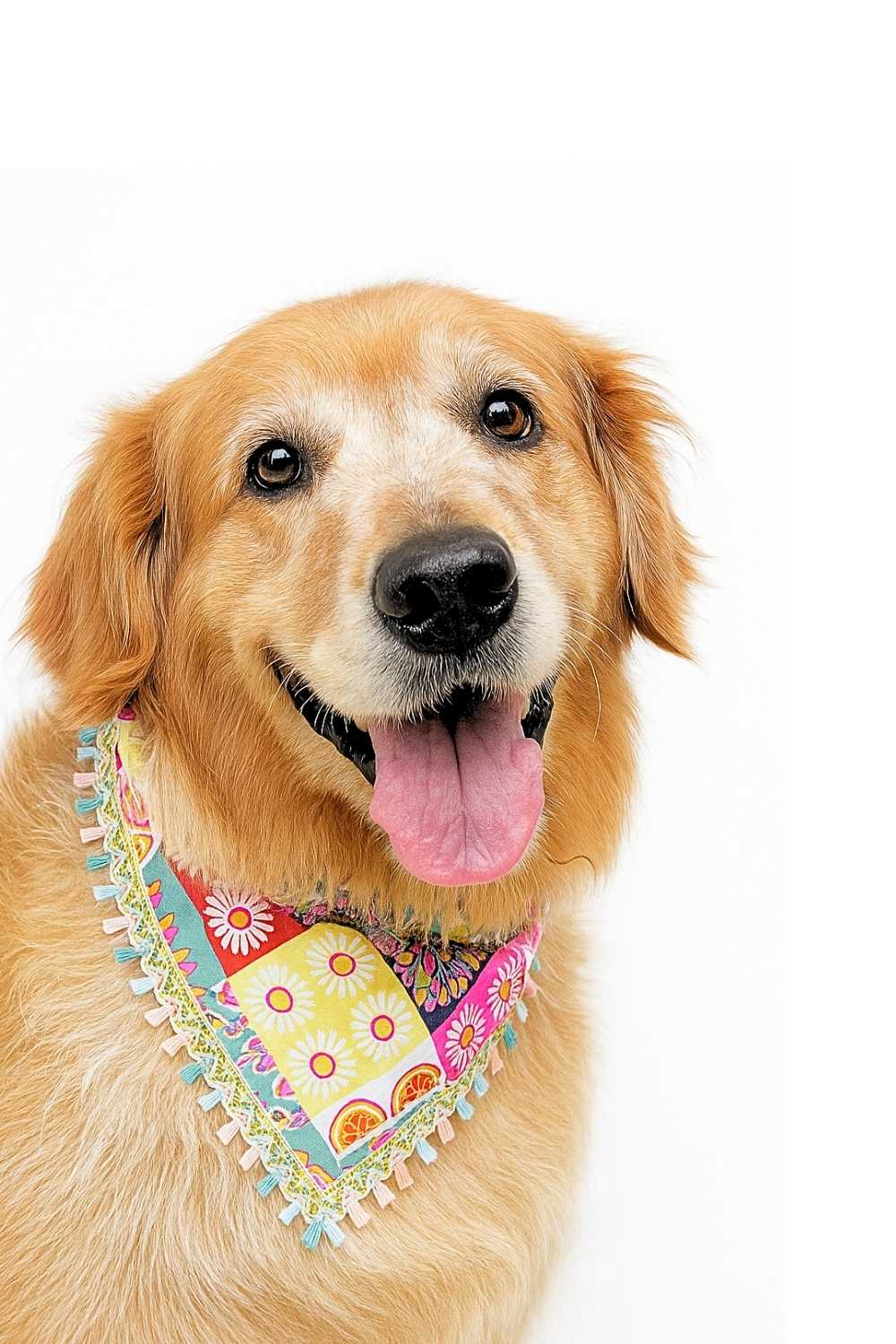 boho bandana boho bandana
