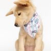 unipaw bandana