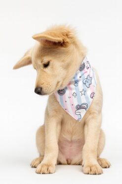 unipaw bandana