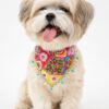 boho bandana