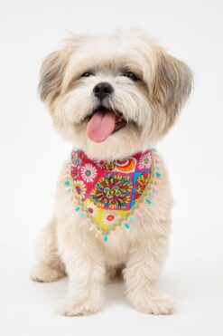 boho bandana