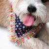 Golden Retriever wearing the Flora Fiesta Limited Edition handmade floral pet bandana with colorful tassel lace detailing on a white studio background.