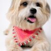 Handmade pink dog bandana with boho-inspired floral swirl print and decorative lace trim, worn by a Golden Retriever. Soft breathable fabric, comfortable everyday pet accessory.