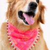 Handmade pink dog bandana with boho-inspired floral swirl print and decorative lace trim, worn by a Golden Retriever. Soft breathable fabric, comfortable everyday pet accessory.