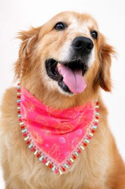 Handmade pink dog bandana with boho-inspired floral swirl print and decorative lace trim, worn by a Golden Retriever. Soft breathable fabric, comfortable everyday pet accessory.