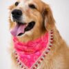 Handmade pink dog bandana with boho-inspired floral swirl print and decorative lace trim, worn by a Golden Retriever. Soft breathable fabric, comfortable everyday pet accessory.
