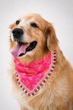 Handmade pink dog bandana with boho-inspired floral swirl print and decorative lace trim, worn by a Golden Retriever. Soft breathable fabric, comfortable everyday pet accessory.