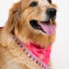 Handmade pink dog bandana with boho-inspired floral swirl print and decorative lace trim, worn by a Golden Retriever. Soft breathable fabric, comfortable everyday pet accessory.