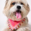 Handmade pink dog bandana with boho-inspired floral swirl print and decorative lace trim, worn by a Golden Retriever. Soft breathable fabric, comfortable everyday pet accessory