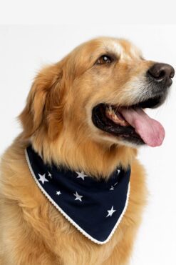 Dog accessories for dogs in India-Apne pets