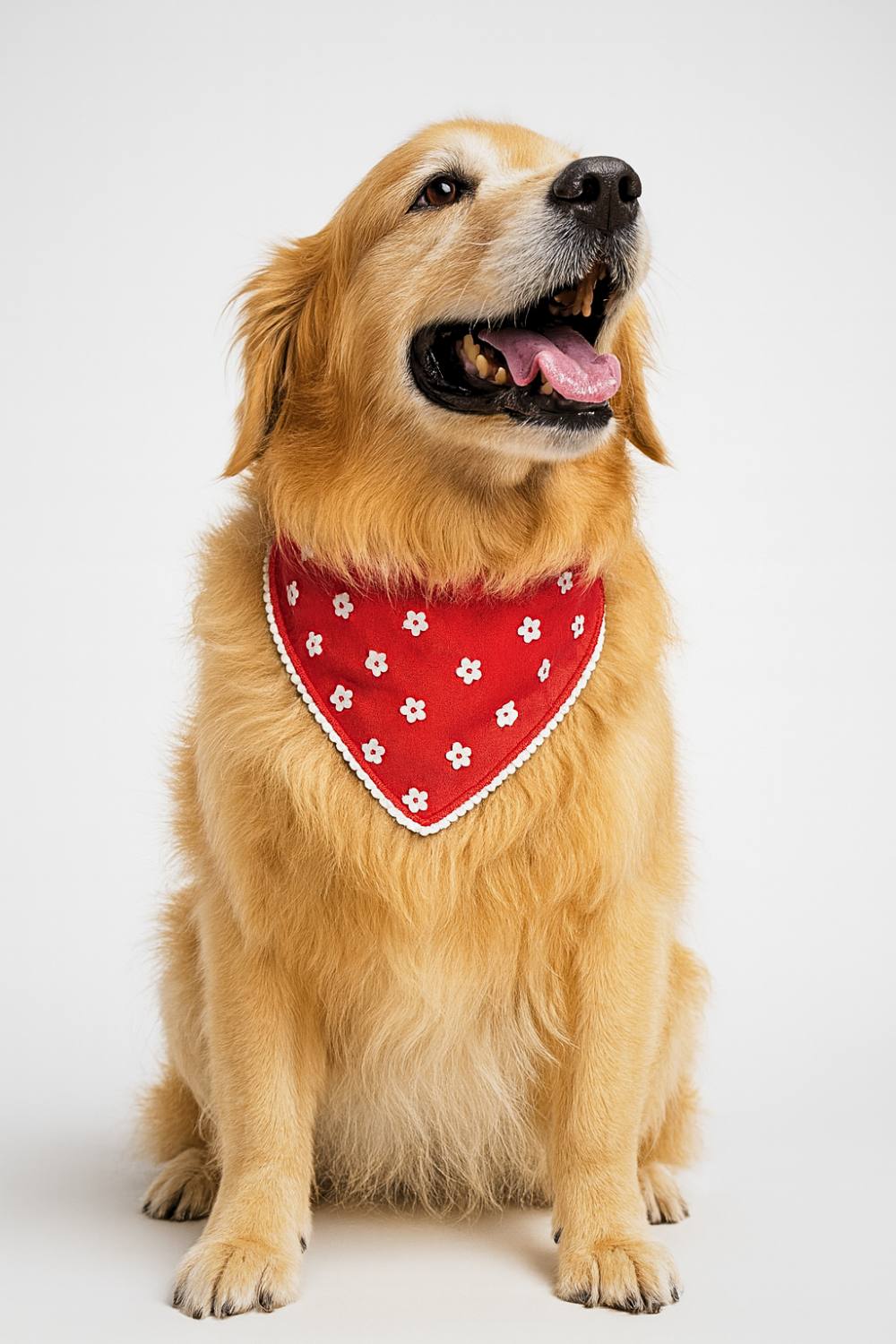 pawsome bloom pawsome bloom