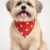 dog accessories india