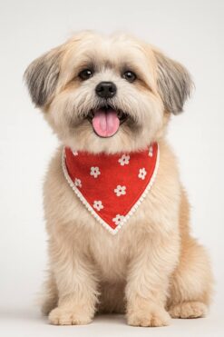 dog accessories india