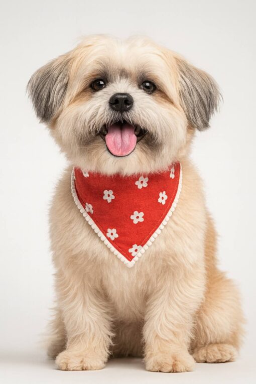 dog accessories india