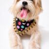 Golden Retriever wearing a handmade black polka dot dog bandana with colorful pastel dots and decorative tassel lace trim. Soft comfortable everyday pet accessory.