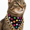 Golden Retriever wearing a colorful handmade polka dot pet bandana with tassel lace trim on a clean white studio background.