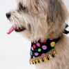 Golden Retriever wearing a colorful handmade polka dot pet bandana with tassel lace trim on a clean white studio background.