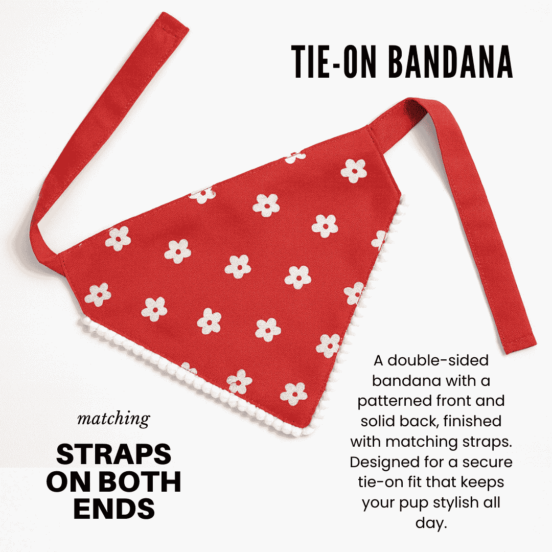 Tie-On Bandana